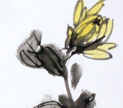 Golden chrysanthemums - on shikishi board