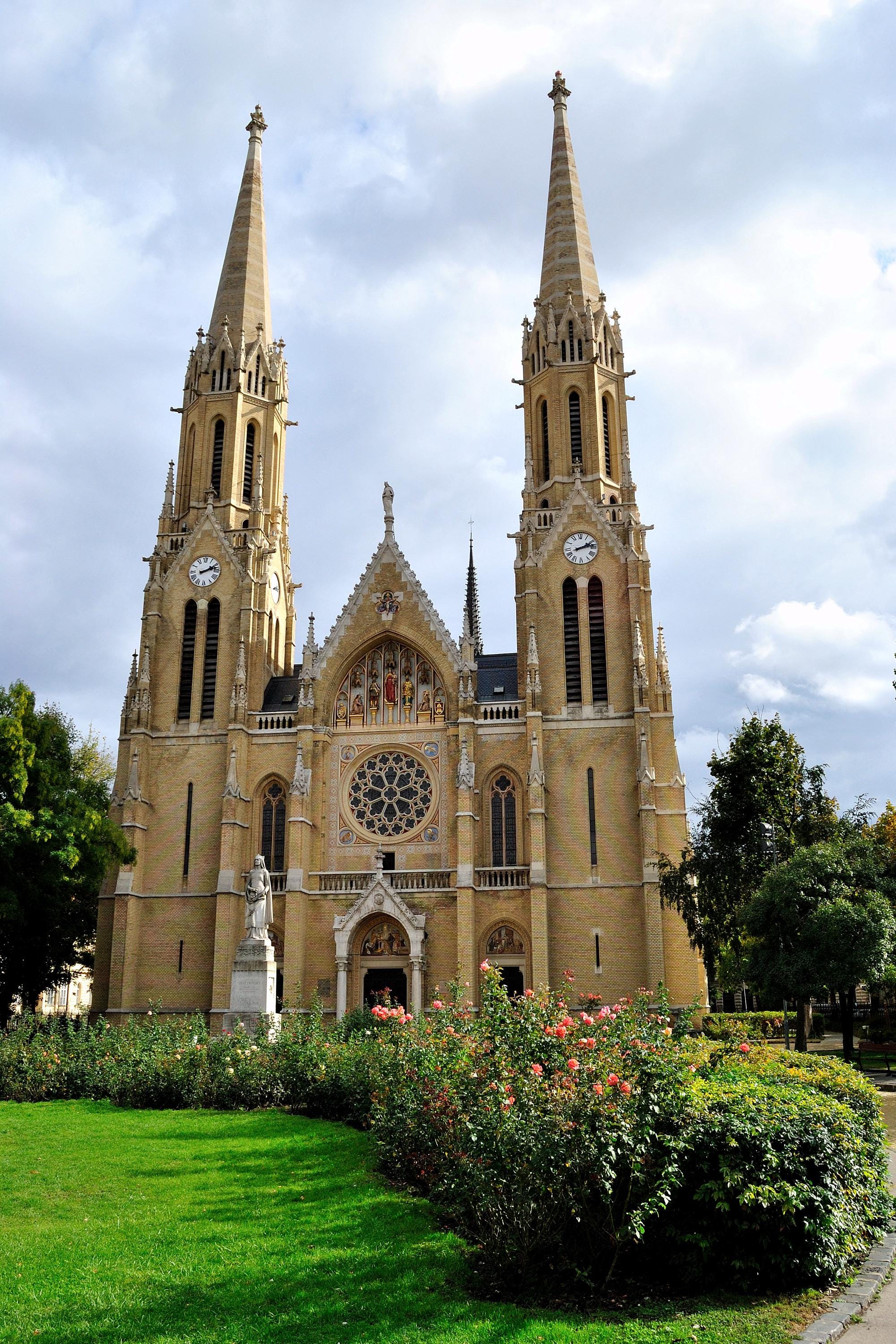 St Erzsebet Church Budapest Sumi-e Painting: Gothic Roses Art