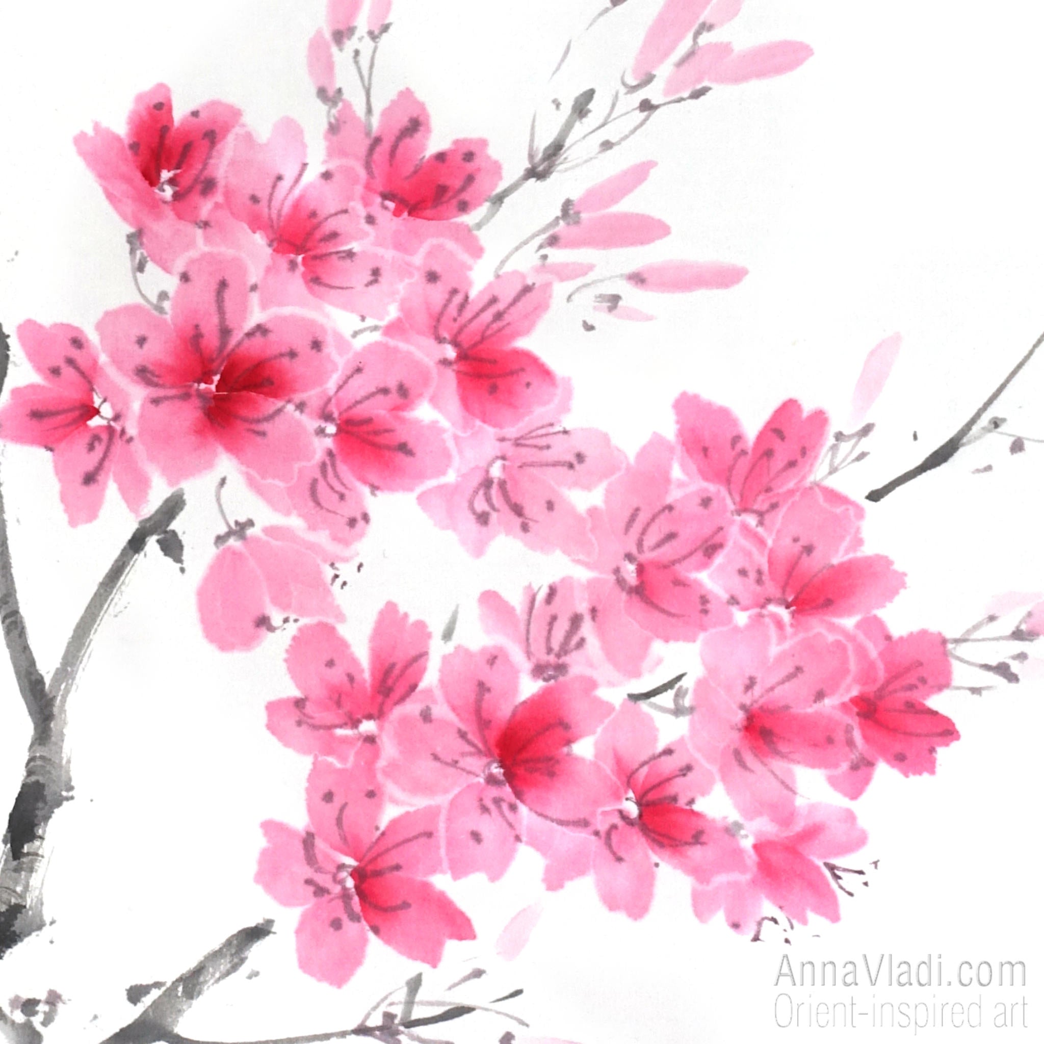 Sakura Sumi-e Painting: Cherry Blossom